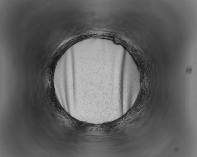 X0000099991206200806201441