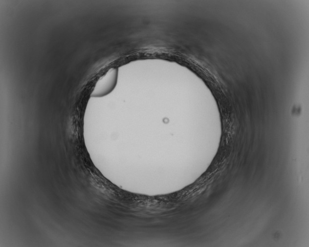 X0000099991207200806201441