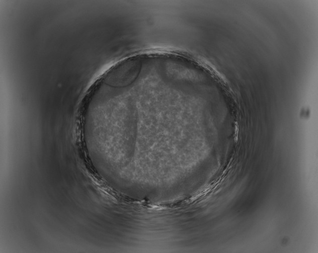 X0000099991208200806201441