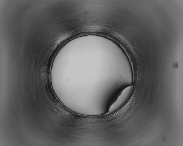 X0000099991210200806201441