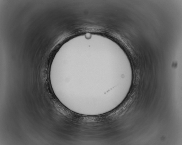 X0000099991211200806201441