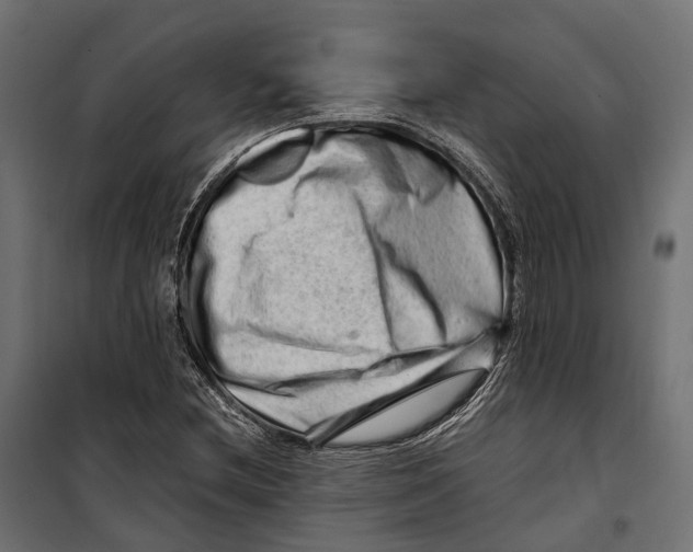 X0000099991212200806201441