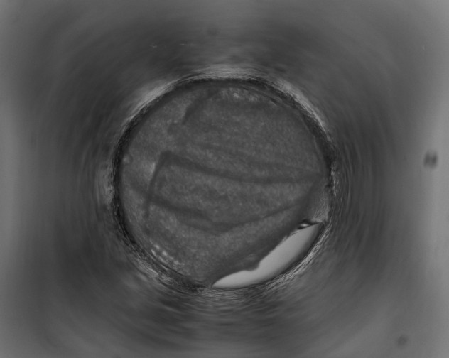 X0000099991213200806201441