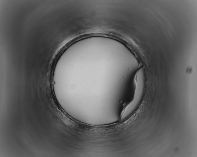 X0000099991216200806201441