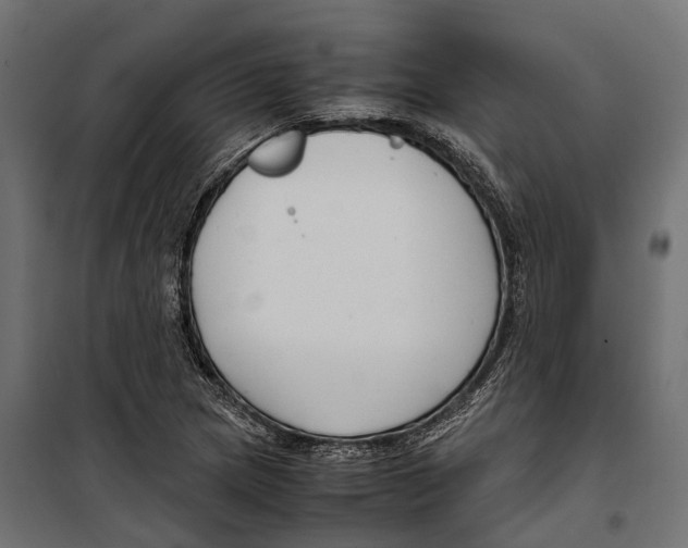 X0000099991217200806201441