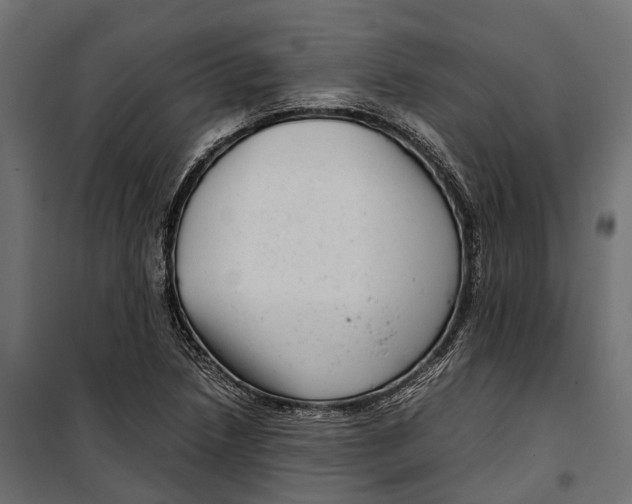 X0000099991218200806201441