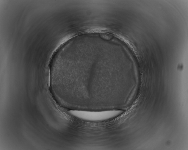 X0000099991219200806201441