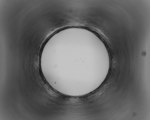 X0000099991220200806201441