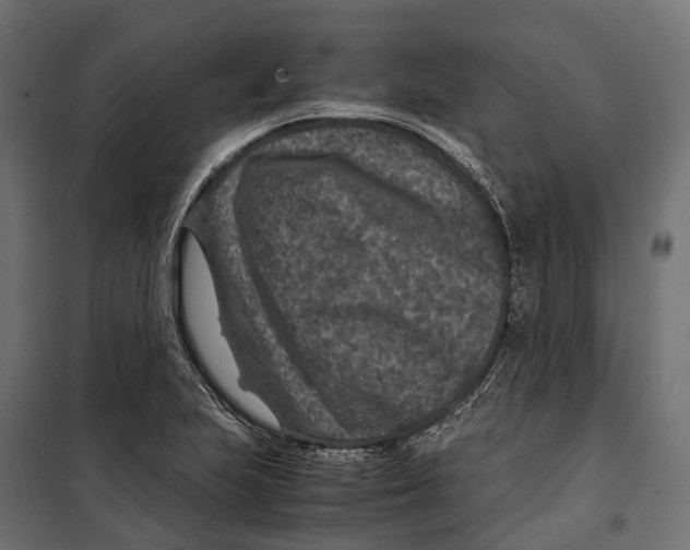 X0000099991223200806201441