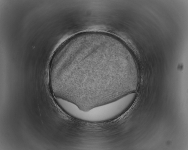 X0000099991224200806201441