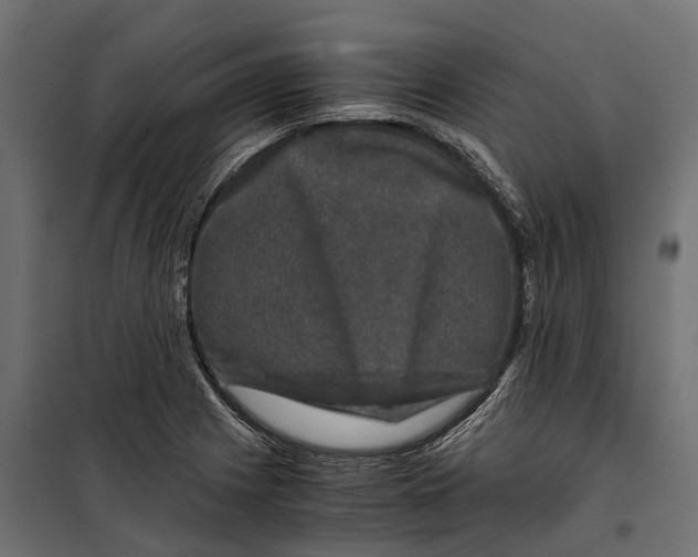 X0000099991225200806201441