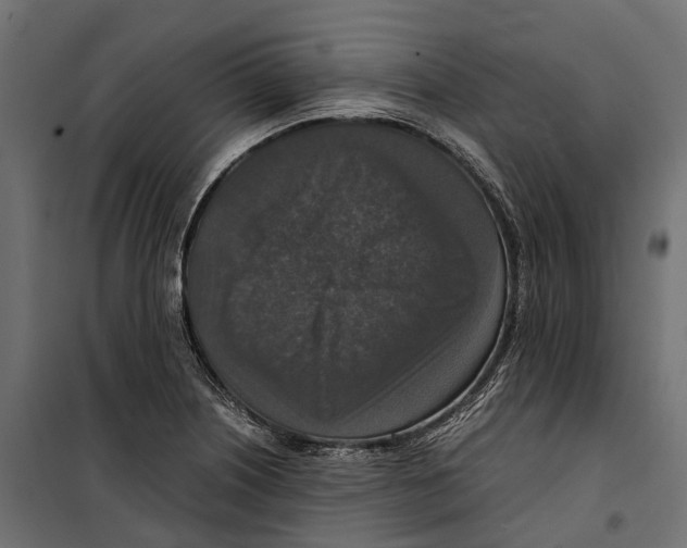 X0000099991226200806201441