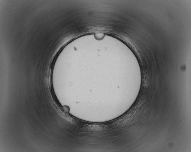 X0000099991227200806201441