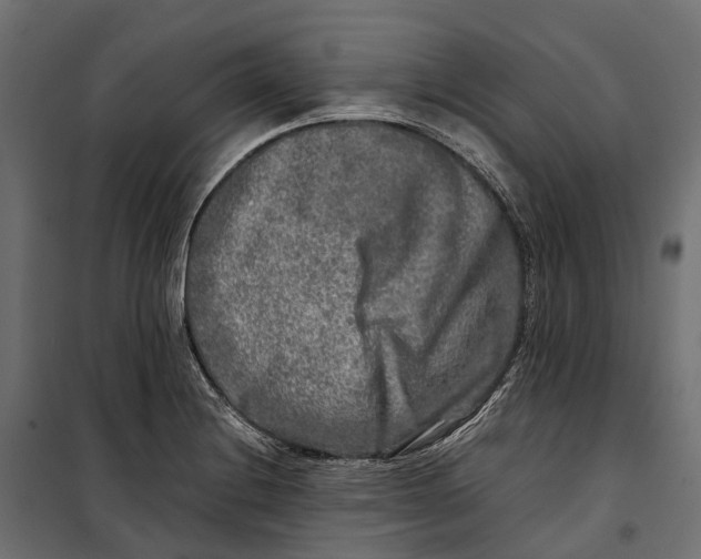 X0000099991228200806201441