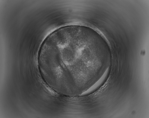 X0000099991230200806201441