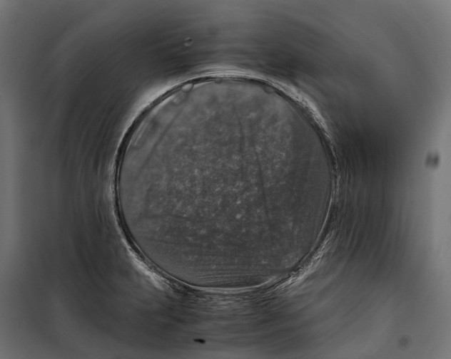 X0000099991231200806201441