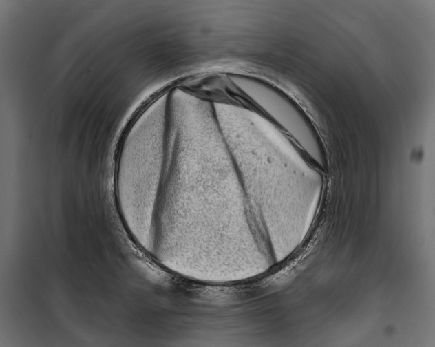 X0000099991232200806201441