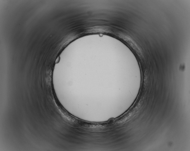 X0000099991233200806201441