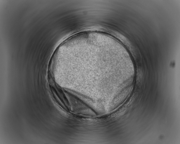 X0000099991234200806201441