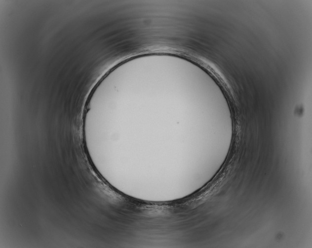 X0000099991236200806201442