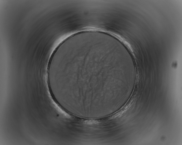 X0000099991239200806201442