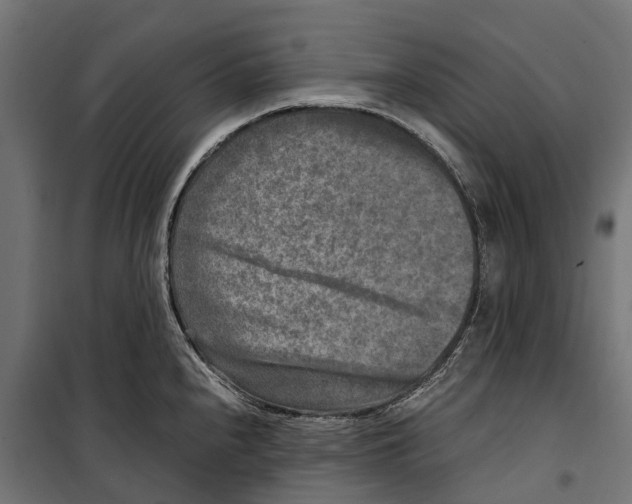 X0000099991240200806201442