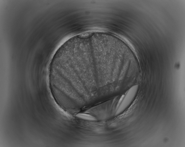 X0000099991243200806201442