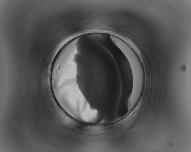 X0000099991246200806201442