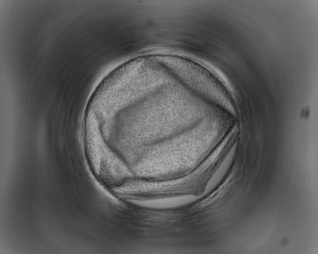 X0000099991247200806201442