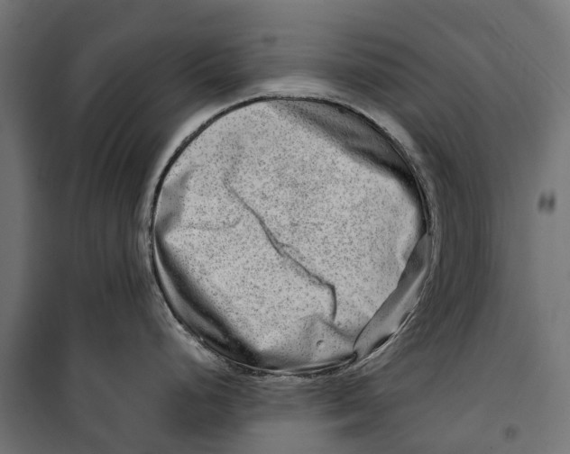 X0000099991248200806201442