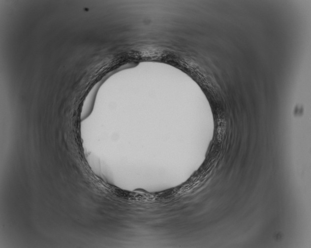 X0000099991249200806201441