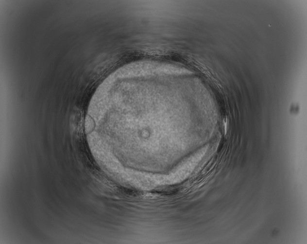 X0000099991251200806201441