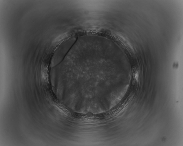 X0000099991252200806201441