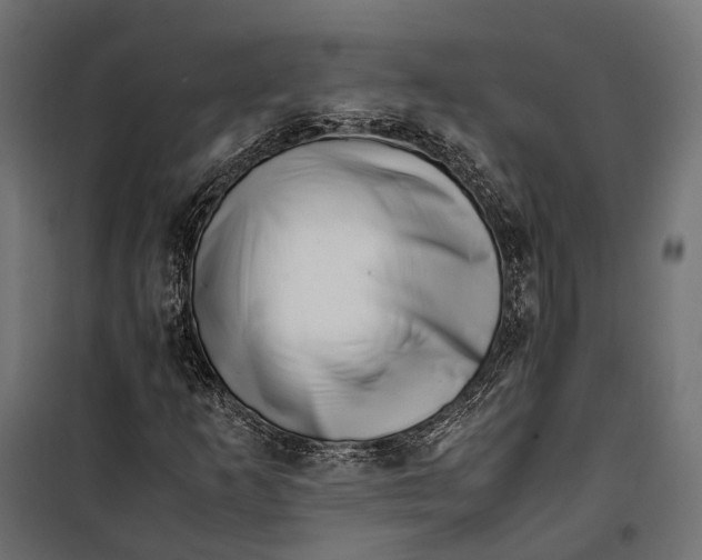 X0000099991253200806201441