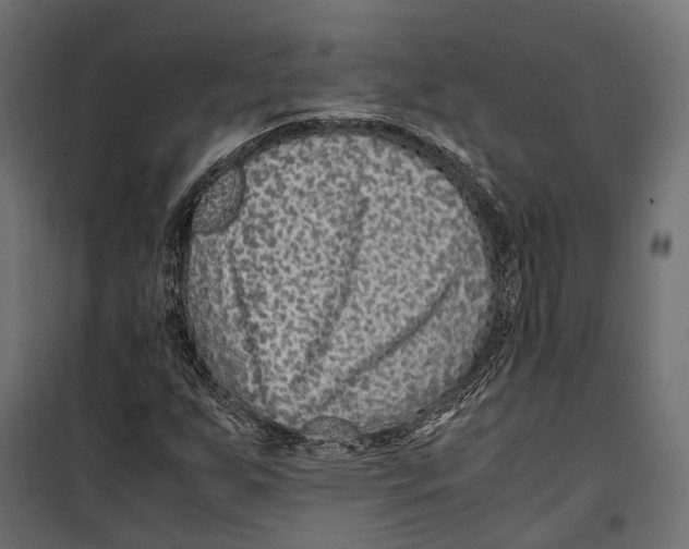 X0000099991255200806201441