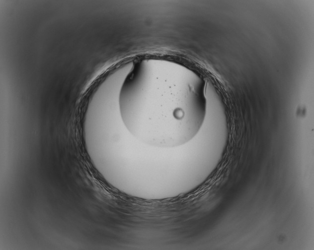 X0000099991256200806201441