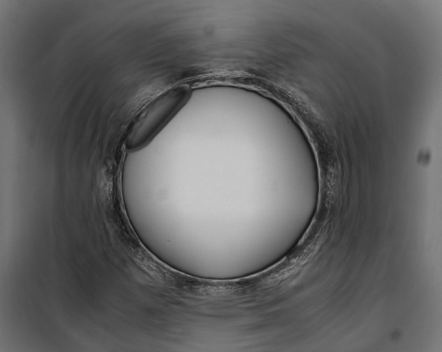 X0000099991257200806201441