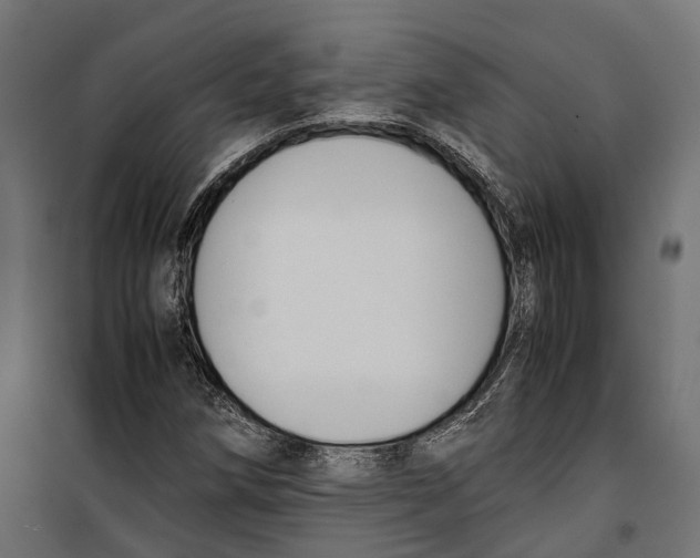 X0000099991258200806201441