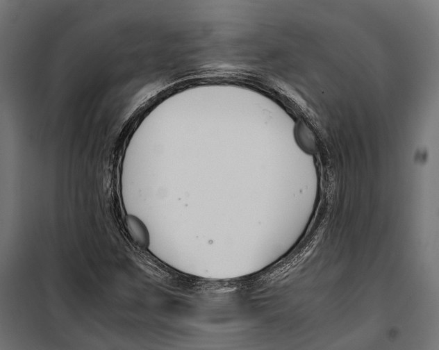 X0000099991259200806201441