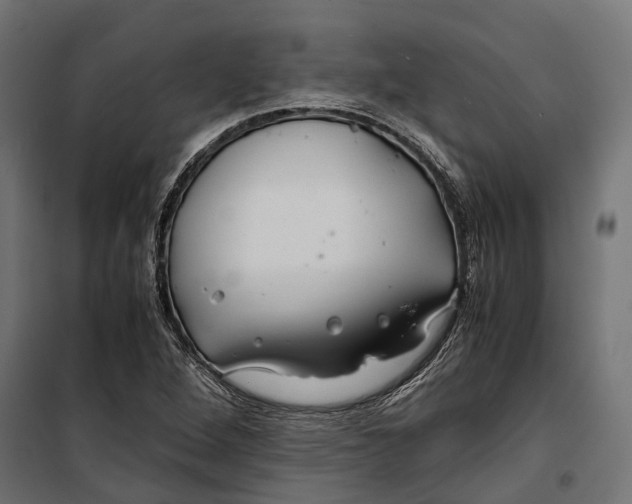 X0000099991264200806201441