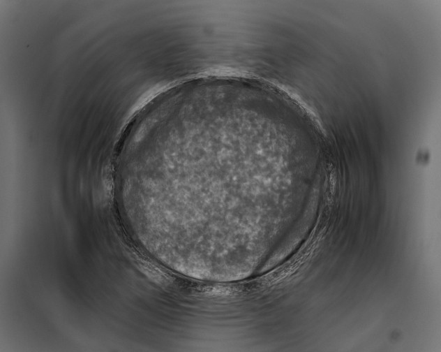 X0000099991266200806201441