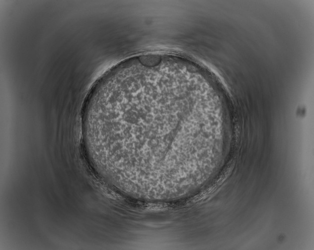 X0000099991267200806201441