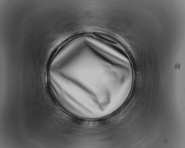 X0000099991269200806201441