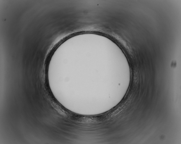 X0000099991270200806201441