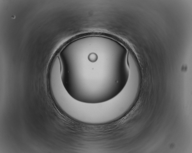 X0000099991271200806201441