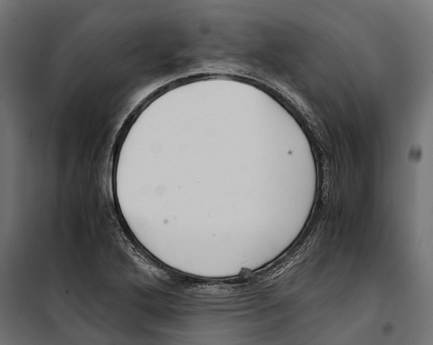 X0000099991272200806201441