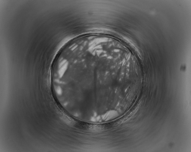 X0000099991275200806201440