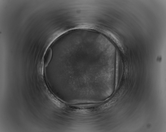 X0000099991276200806201440