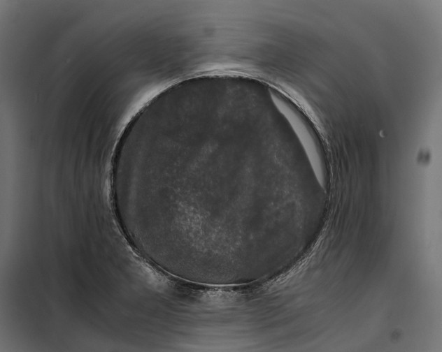 X0000099991277200806201440