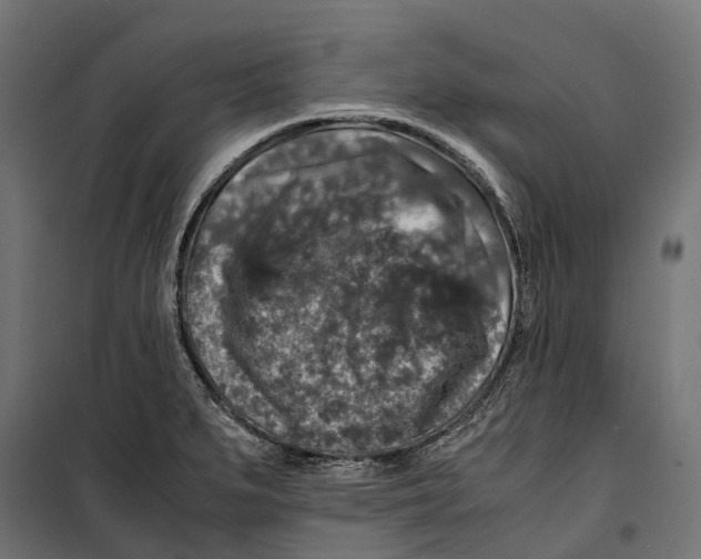 X0000099991279200806201440